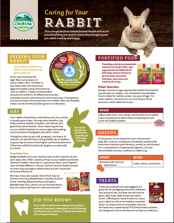 rabbit diet list