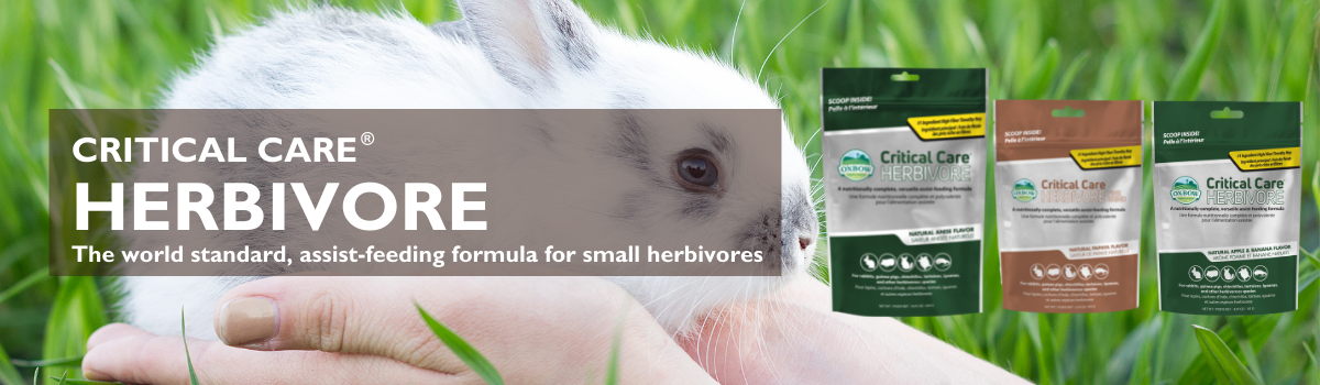 Critical Care Herbivore – Information for Pet Owners – Specialised Animal  Nutrition Pty Ltd